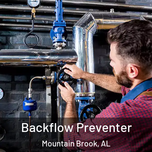  Backflow Preventer Mountain Brook, AL