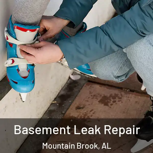  Basement Leak Repair Mountain Brook, AL