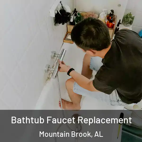  Bathtub Faucet Replacement Mountain Brook, AL