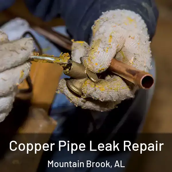  Copper Pipe Leak Repair Mountain Brook, AL
