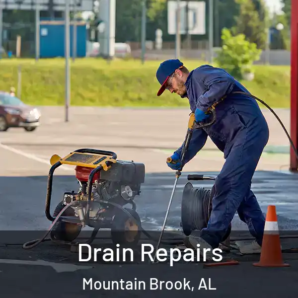 Drain Repairs Mountain Brook, AL