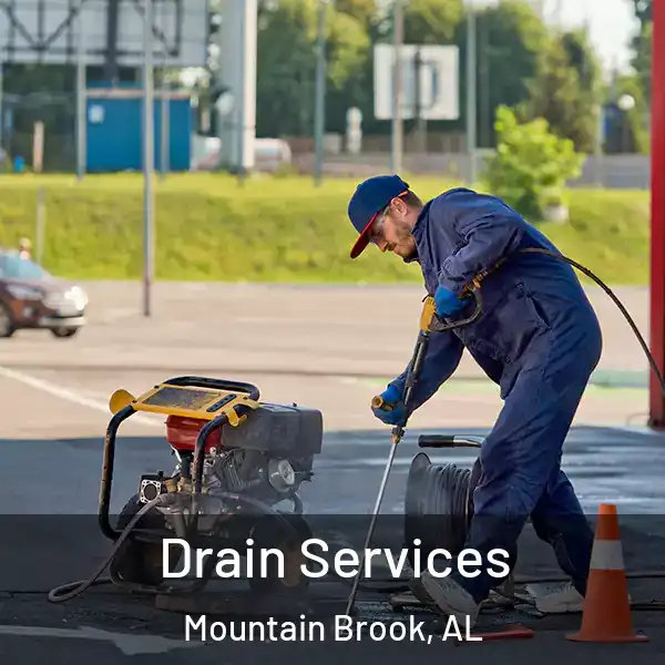  Drain Services Mountain Brook, AL