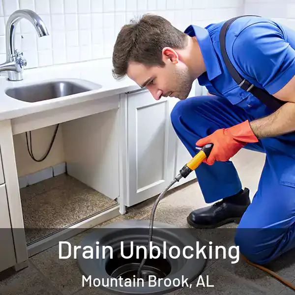  Drain Unblocking Mountain Brook, AL