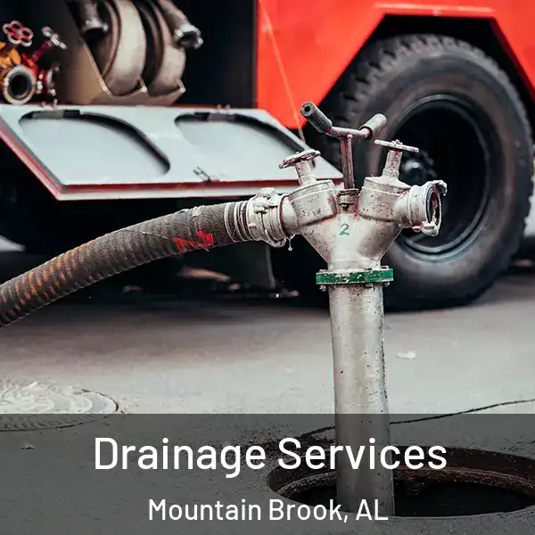  Drainage Services Mountain Brook, AL