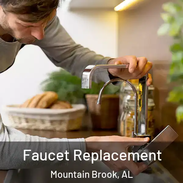  Faucet Replacement Mountain Brook, AL