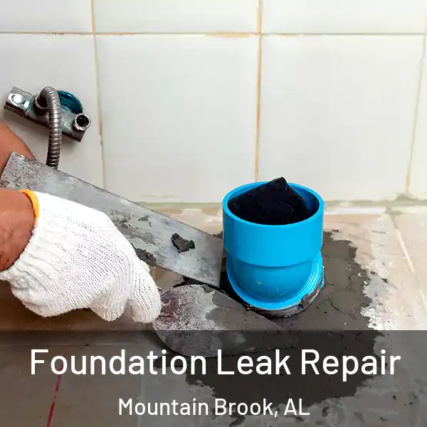  Foundation Leak Repair Mountain Brook, AL