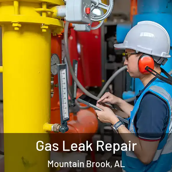  Gas Leak Repair Mountain Brook, AL