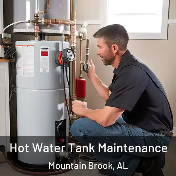 Hot Water Tank Maintenance Mountain Brook, AL