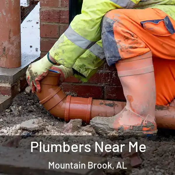  Plumbers Near Me Mountain Brook, AL