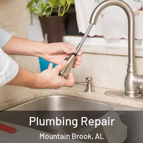  Plumbing Repair Mountain Brook, AL