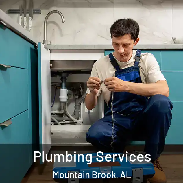  Plumbing Services Mountain Brook, AL