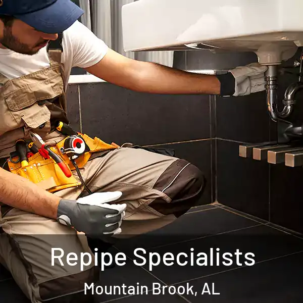  Repipe Specialists Mountain Brook, AL