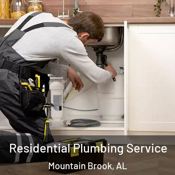  Residential Plumbing Service Mountain Brook, AL