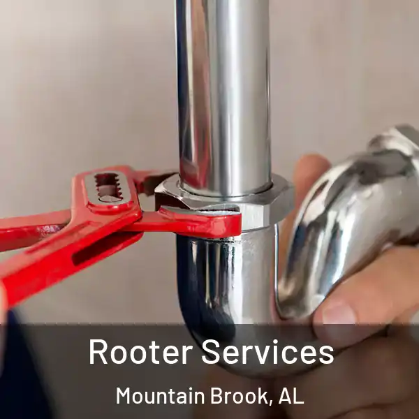 Rooter Services Mountain Brook, AL