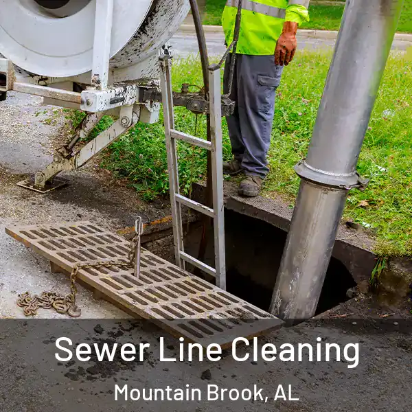  Sewer Line Cleaning Mountain Brook, AL