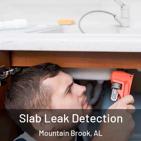  Slab Leak Detection Mountain Brook, AL