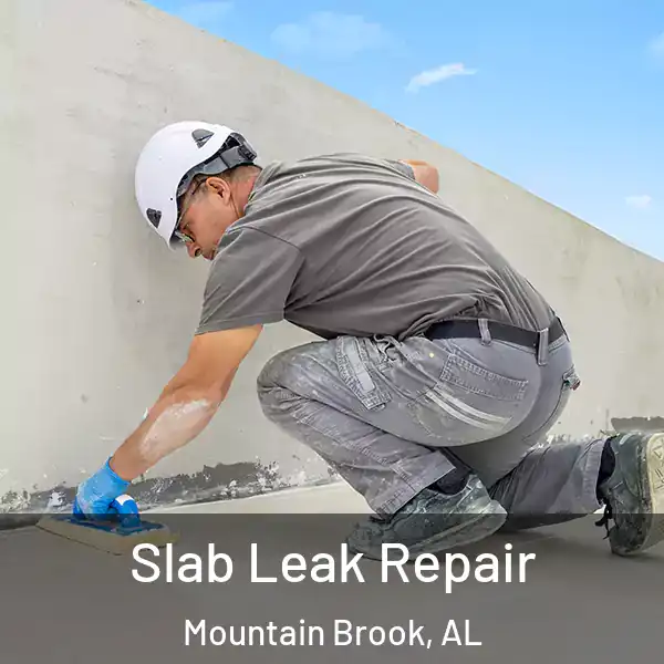  Slab Leak Repair Mountain Brook, AL