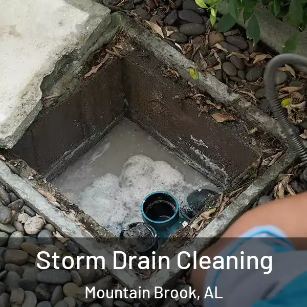  Storm Drain Cleaning Mountain Brook, AL