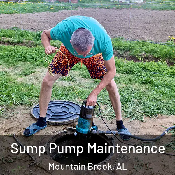  Sump Pump Maintenance Mountain Brook, AL