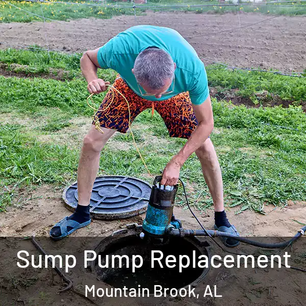  Sump Pump Replacement Mountain Brook, AL