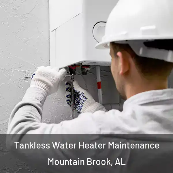  Tankless Water Heater Maintenance Mountain Brook, AL