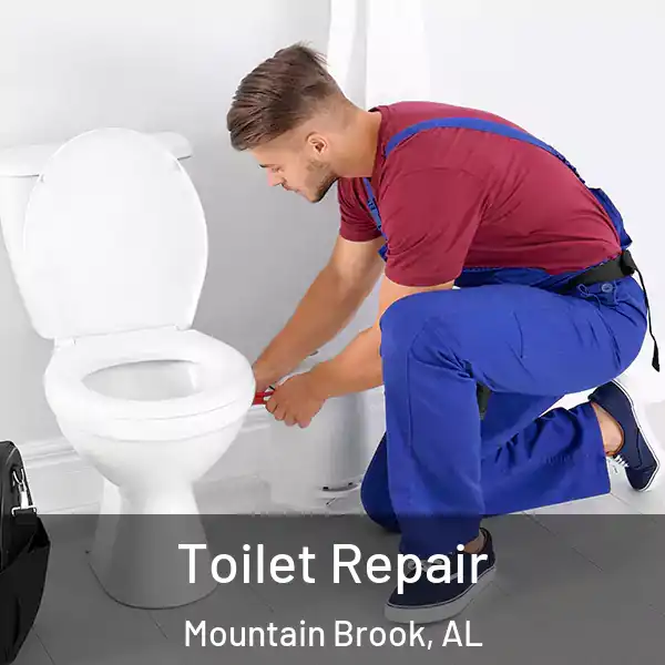  Toilet Repair Mountain Brook, AL