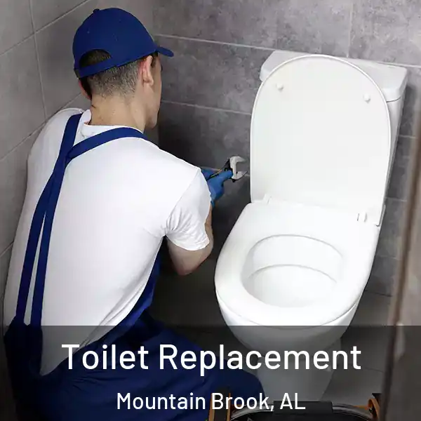  Toilet Replacement Mountain Brook, AL