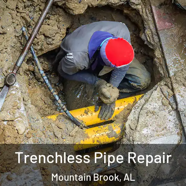  Trenchless Pipe Repair Mountain Brook, AL