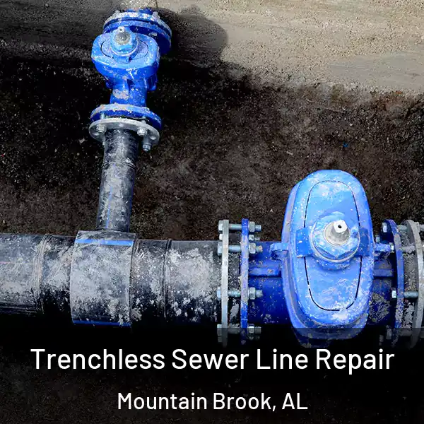  Trenchless Sewer Line Repair Mountain Brook, AL