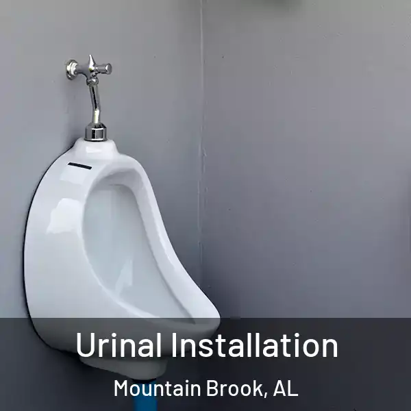  Urinal Installation Mountain Brook, AL