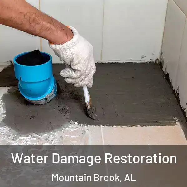  Water Damage Restoration Mountain Brook, AL