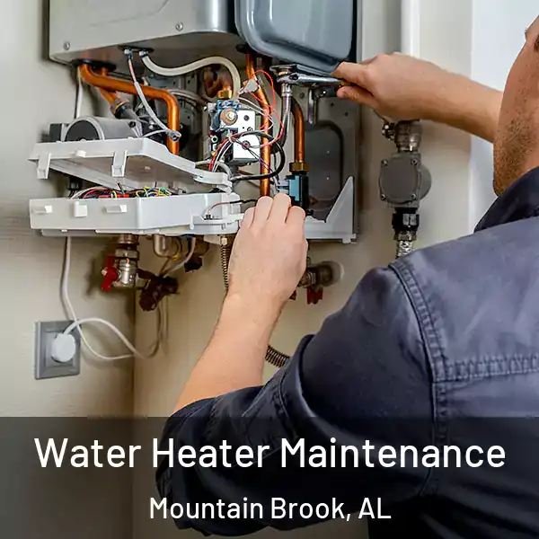  Water Heater Maintenance Mountain Brook, AL
