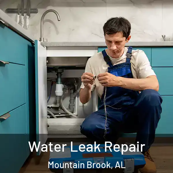  Water Leak Repair Mountain Brook, AL