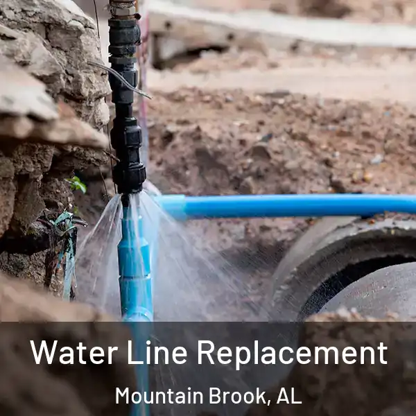  Water Line Replacement Mountain Brook, AL