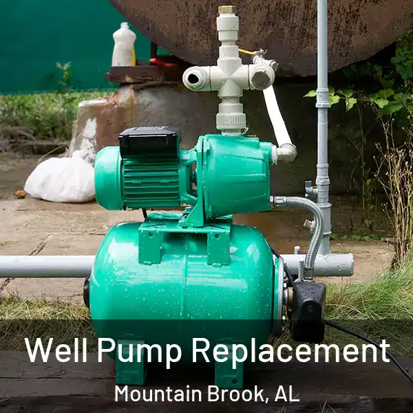 Well Pump Replacement Mountain Brook, AL
